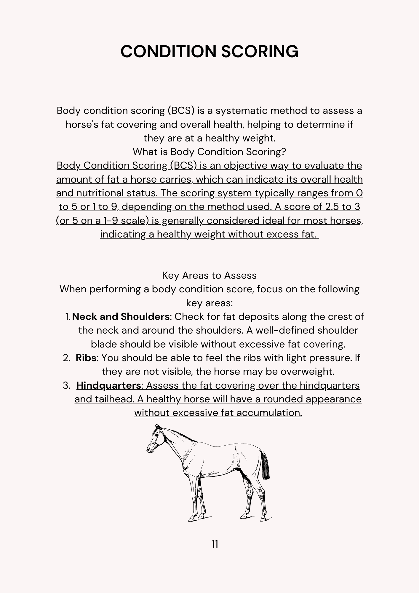 Sheet of paper with text on horse body condition scoring and a horse illustration.