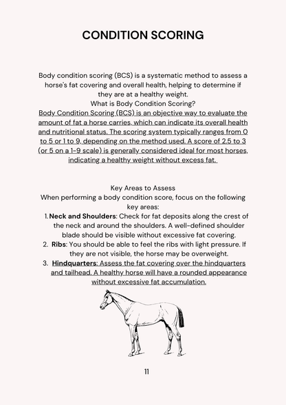 Sheet of paper with text on horse body condition scoring and a horse illustration.