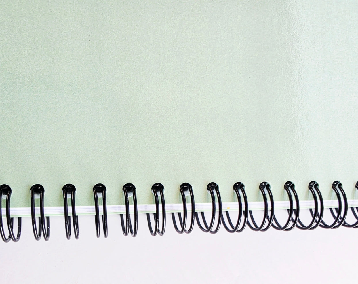 The EMS/Cushing’s/Laminitis Journal