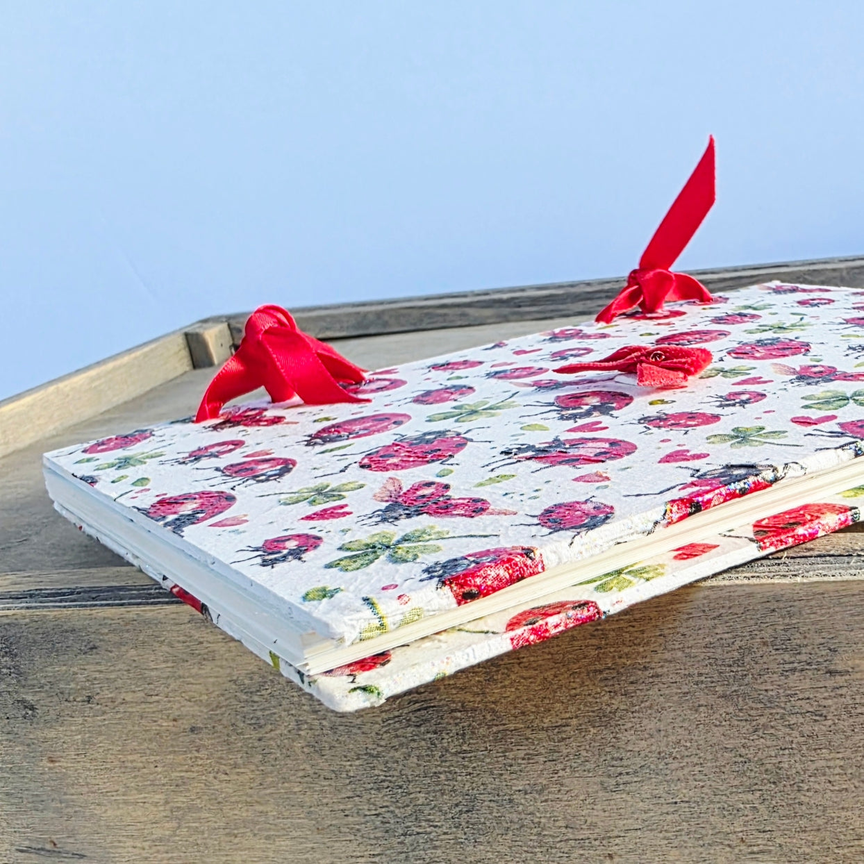 Ladybird themed notebook, bound with red ribbon on a wooden surface