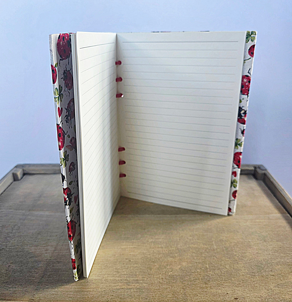 Notebook with ladybird design on the cover and spine, open to a blank page.
